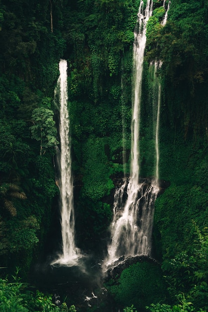 Sekumpul-waterval op Bali omgeven door tropisch bos