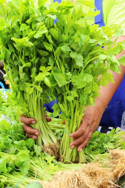 Seldergroenten voor koken op de markt