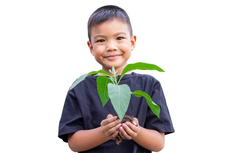 Selectieve aandacht van handen Aziatische kind jongen met een kleine groene plant met bodem.