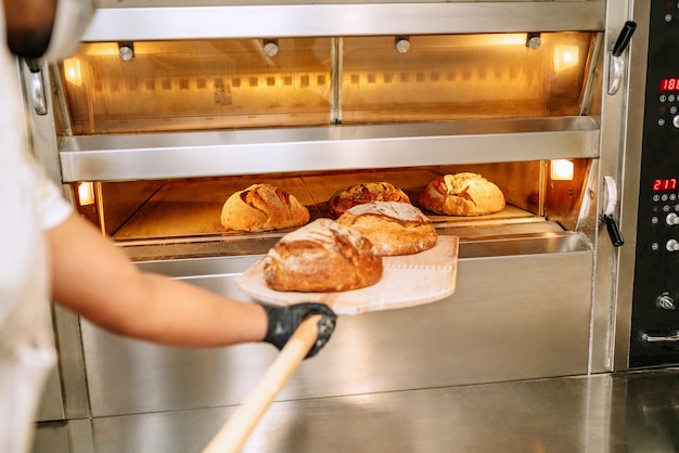 Selectieve aandacht van Latino bakker brood aanbrengend de oven met handschoenen en een masker