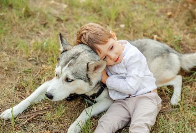 Selectieve aandacht van mooie hond. Wazig kindje hond aaien