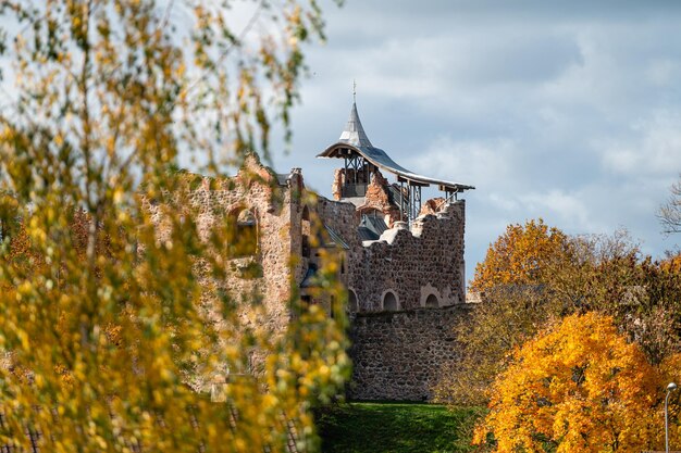 Foto selectieve focus afbeelding ruïnes van het oude middeleeuwse kasteel op intreepupil boom achtergrond