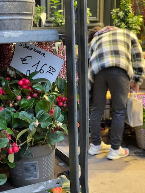 Selectieve focus op een potplant te koop in bloemenwinkel onherkenbare klant op de achtergrond