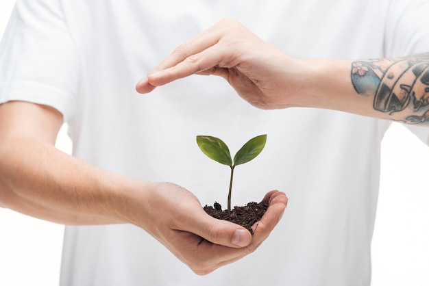 Selectieve focus van de mens die grond beschermt met groene plant geïsoleerd op wit