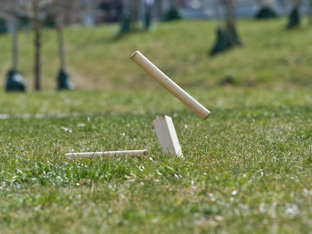 Selectieve focusopname van houten stukken traditioneel Viking-schaak op het met gras bedekte veld