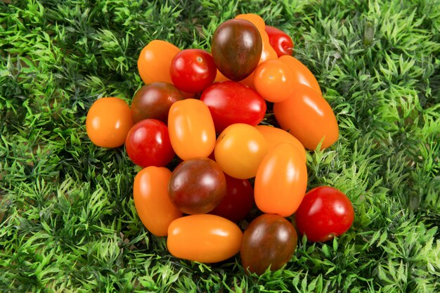 Selection grade. Varieties tomatoes on green grass