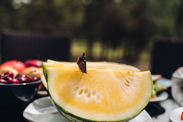 Selective focus of butterfly on yellow sweet melon