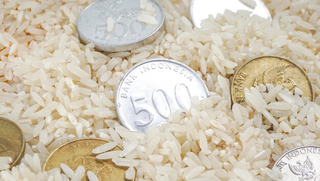선택적 초점 신선한 쌀과 인도네시아 동전 zakat 재산 소득 및 fitrah zakat에 대한 이슬람 개념