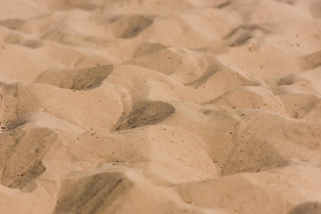 Selective focus of golden wavy sand in desert