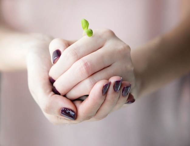 Selective focus on hands holding young seedling plant in soil for growing Earth day concept