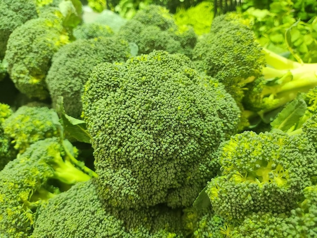 Selective focus image of broccoli at supermarket