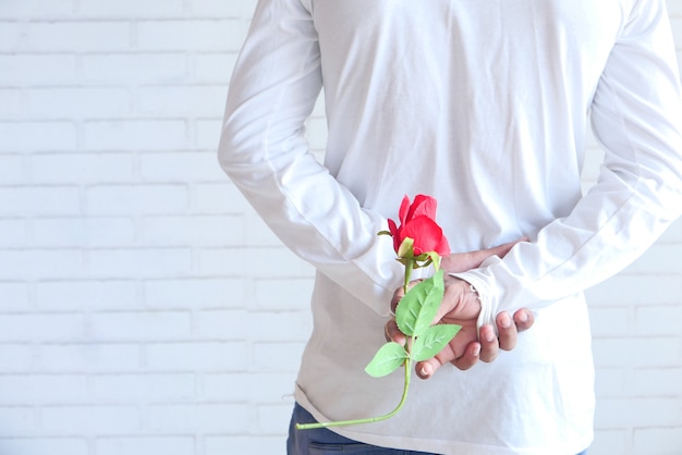 Selective focus. man hand holding rose flower on white background