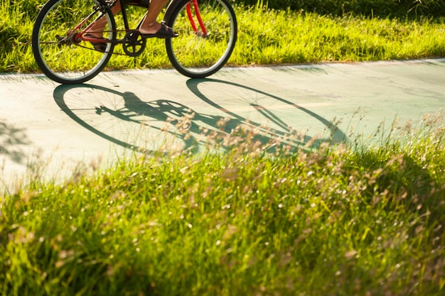 写真 公園内の道路とピントの合っていない自転車の選択的な焦点、公園内の夜の雰囲気