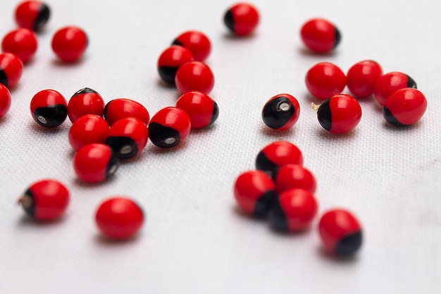 Selective focus shot of bright red abrus precatorius beans on a white table