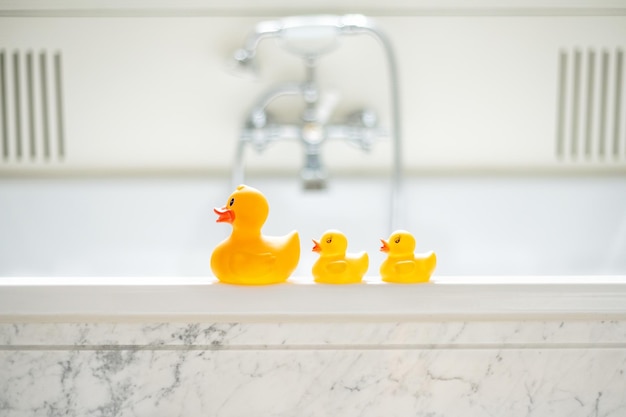 Selective focus shot of cute yellow rubber bath ducks in a row in a bathroom