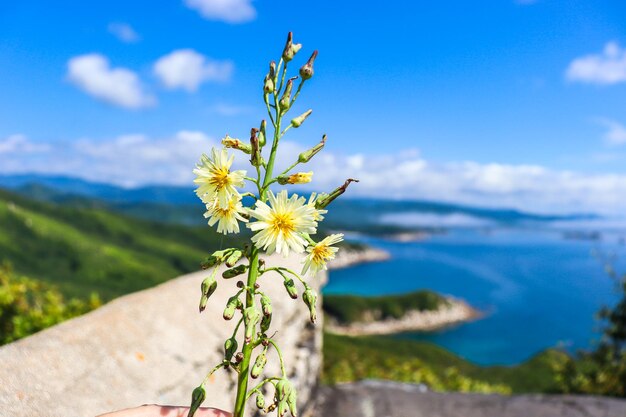 Photo selective focus tourism and sea travel rest on the sea primorsky krai