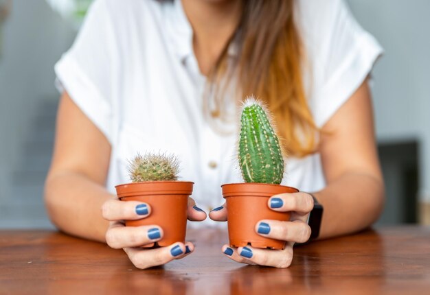 Foto focus selettivo di due succulente piantate in piccoli vasi nelle mani di una donna irriconoscibile