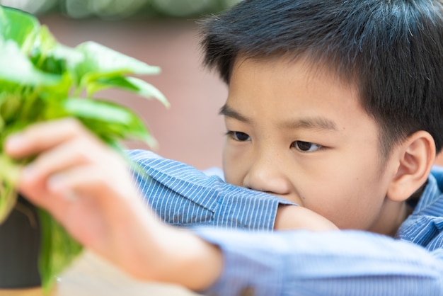 Selective focus, young Asian boy touch a little plant