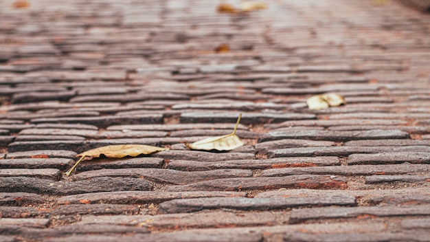 Selective focused Cobblestone pavementVintage stone street road pavement texturepattern of stone blo...