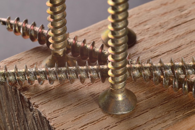 Selftapping screws on the background of a wooden board Closeup