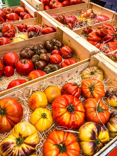 Sell assortment tomatoes at a market place summertime
france