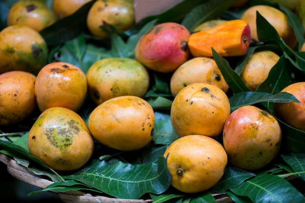 Vendita di mango freschi nel mercato indiano a mauritius