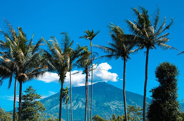 Semeru mountain view