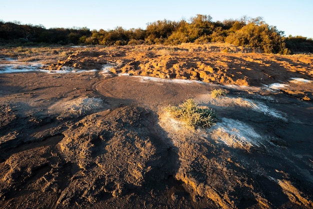 Photo semi desert environment landcape la pampa province patagonia argentina