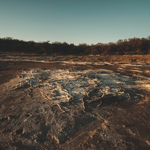 Photo semi desert environment landcape la pampa province patagonia argentina