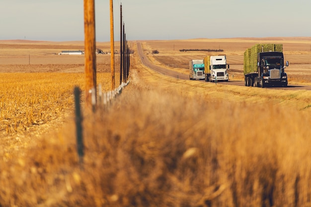 Photo semi trucks on a highway