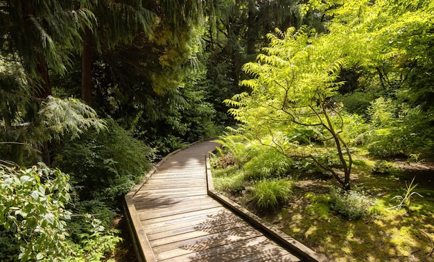 Sendall gardens in a modern suburban city park summer season