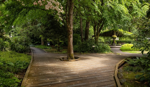 Sendall gardens in a modern suburban city park summer season