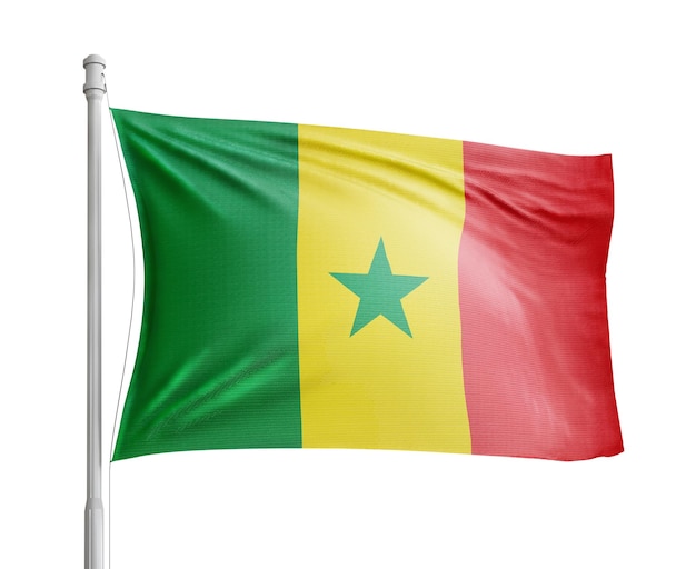 Senegal flag pole on white background