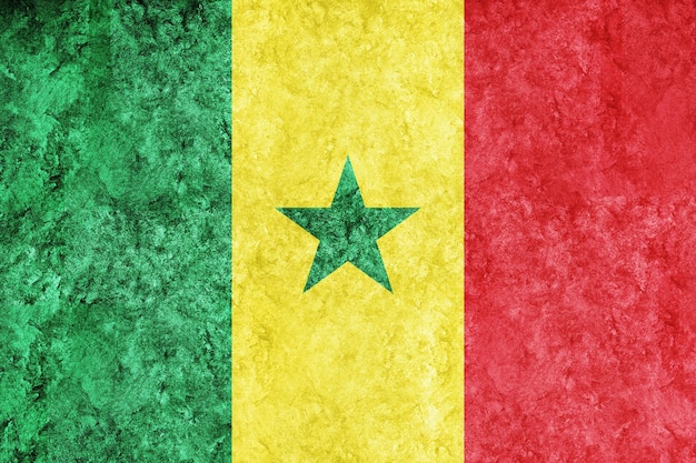 Senegal metallic flag textured flag