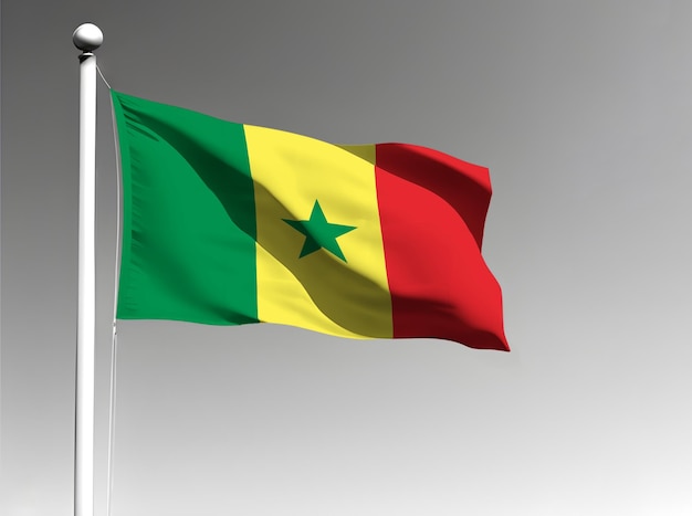 Senegal national flag waving on gray background