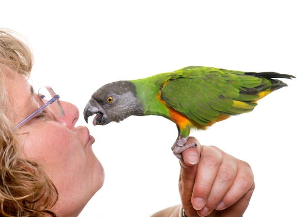 Photo senegal parrot kissing his owner