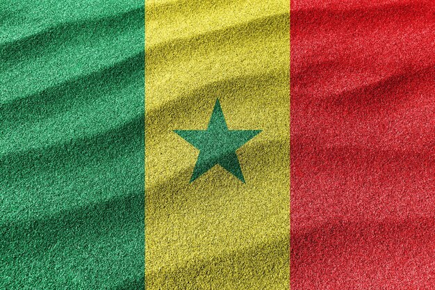 Senegal sand flag national flag