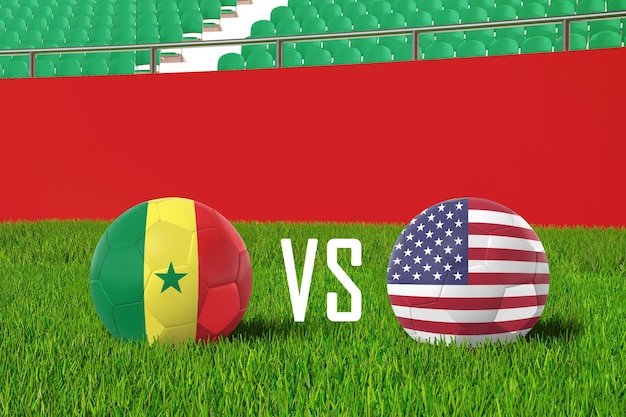 Senegal VS United States In Stadium