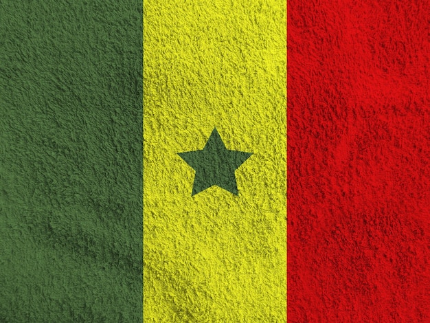 Senegalese flag