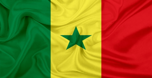 Senegalese vlag vliegt in de wind