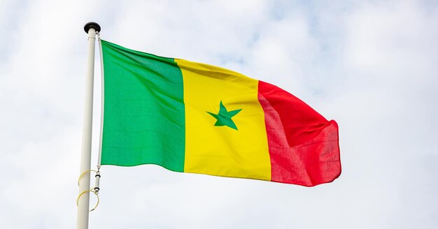 Senegalese vlag zwaaien tegen bewolkte hemelachtergrond