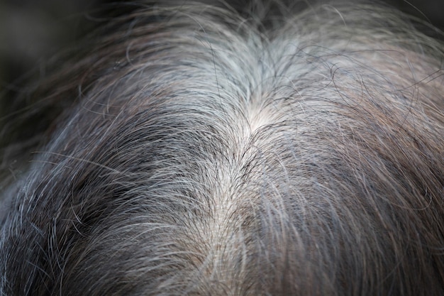 Senior asian woman shows her gray hair