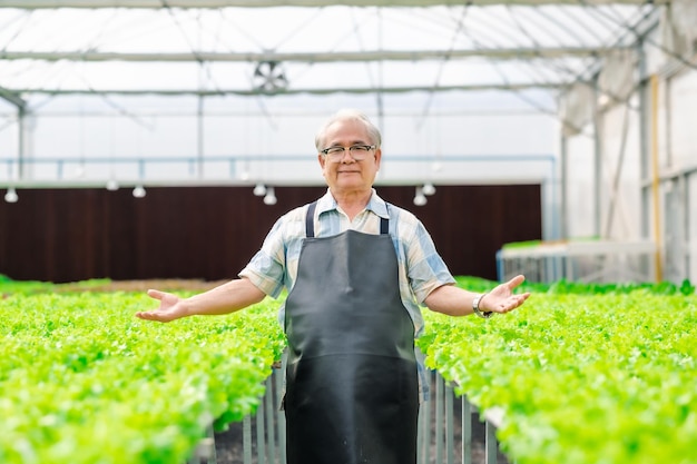 Foto senior aziatische man in hydrocultuur boerderij