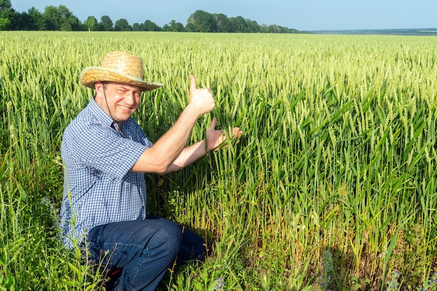 Senior boer in een tarweveld met een opgeheven duim die een teken van een goede oogst geeft.