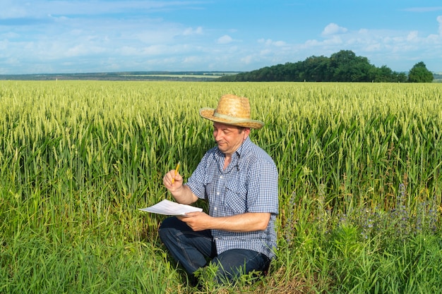 Senior boer schrijft een plan voor het verbouwen van tarwe in het veld. Het idee om een plantage te verzorgen voor een goede oogst.