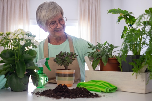 Senior caucasian woman gardener in casual clothes and protective gloves taking care of house plants on white table concept of home garden and hobby