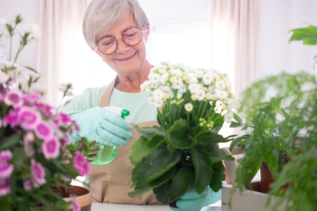 Старшая кавказская женщина-садовник в повседневной одежде и защитных перчатках ухаживает за комнатными растениями на белом столе концепция домашнего сада и хобби