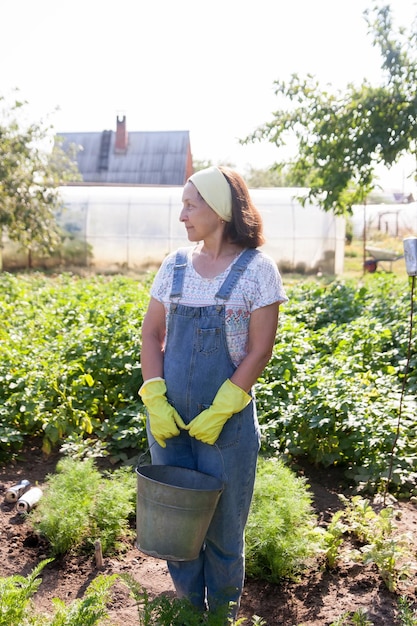 夏に畑で働く年配の白人女性農業植栽に取り組んでいる女性の年金受給者農家