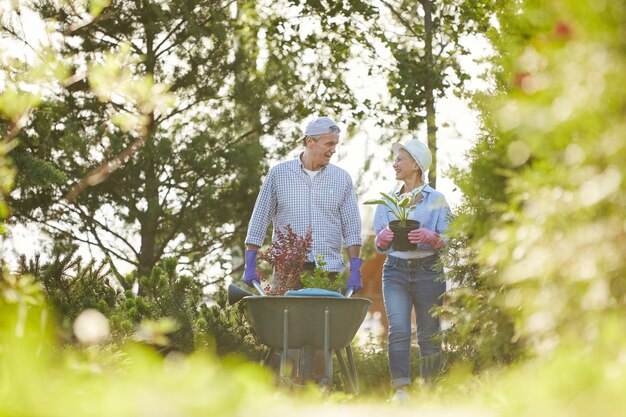 家族の庭で年配のカップル