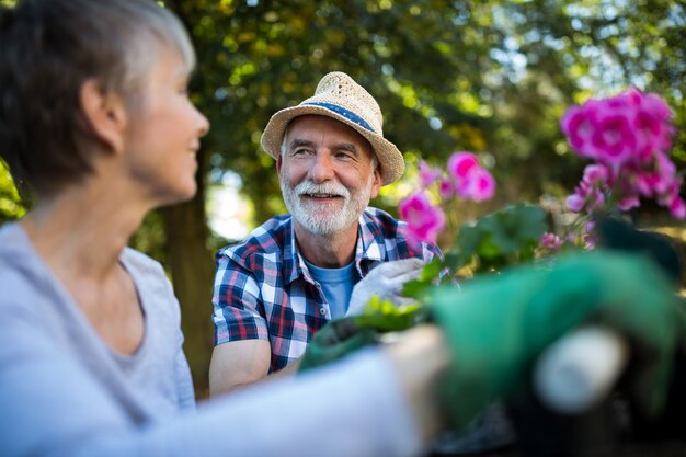 Senior couple gardening in the garden